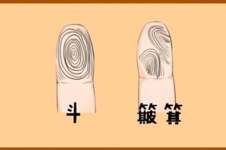 男人手上有9个斗的命运 手相算命