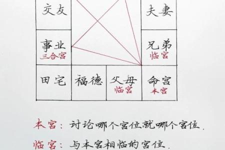 紫薇斗数看文采