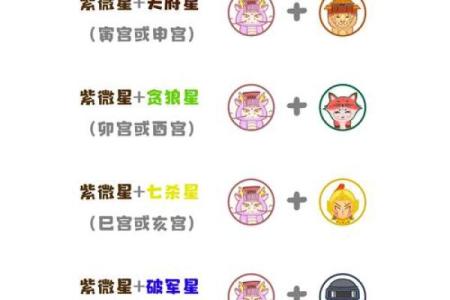 《紫微斗数》丙级星星曜组合特性