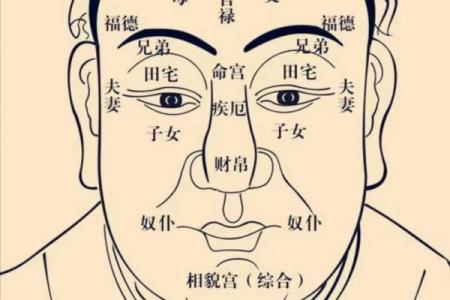 腾讯紫微命盘免费算命