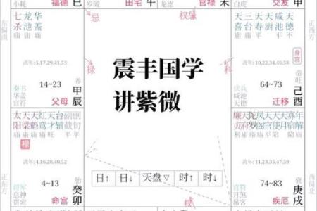 紫薇斗数命理入门基础知识