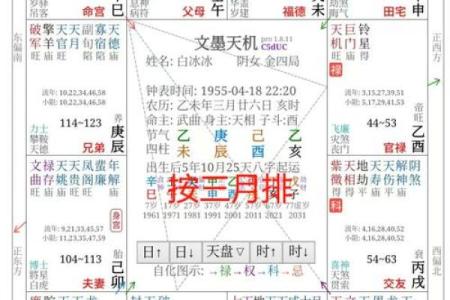 算紫薇斗数网站