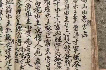 风水先生_摇鞭赶山法