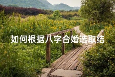 八字合婚适合工作，如何选专业？