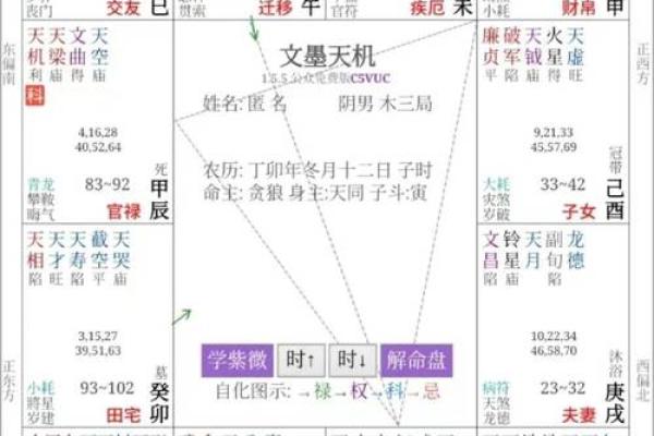 紫微斗数免费算命详解,紫微斗数免费算命神巴巴网