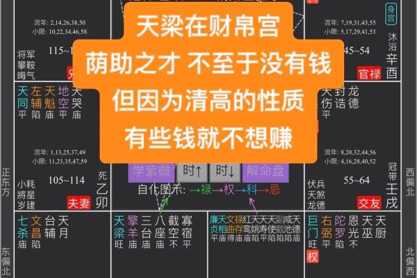 得禄紫微斗数 得禄啥意思？