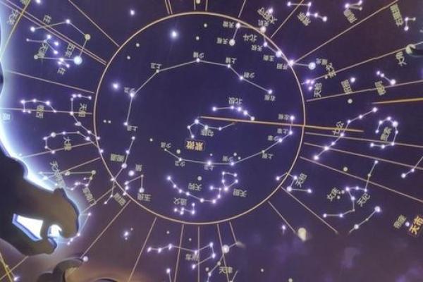 紫薇斗数飞入星