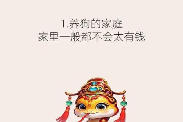 算命属狗岁女儿