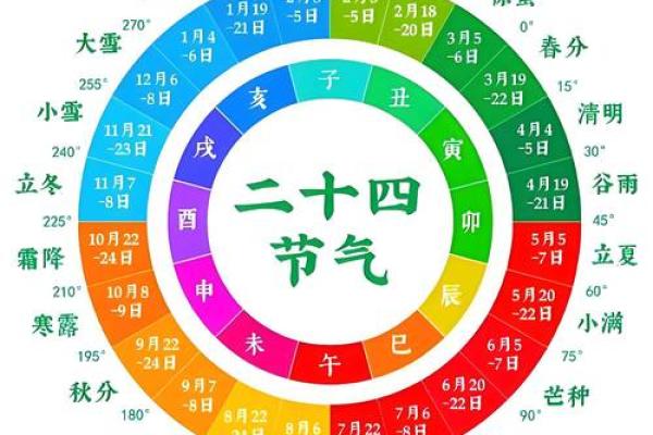 八字十二地支详解