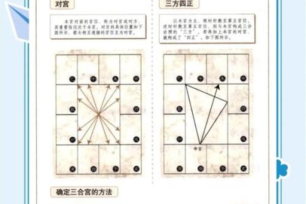 紫薇斗数综合详解