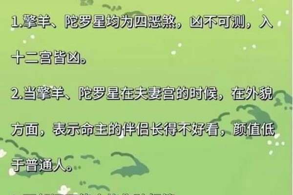 紫薇斗数怎样看二婚命