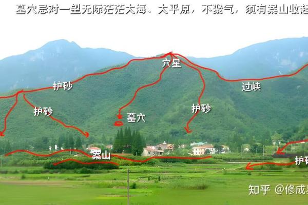 祖坟风水出现蛇鼠洞如何处理？