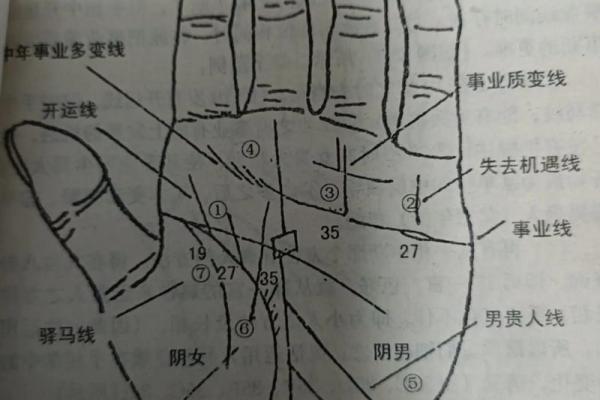 怎么看手相算命？只看男左女右对吗？