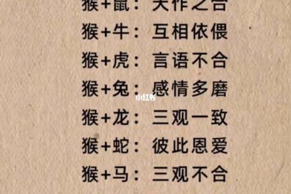 跟另一半姓名配对生日配对真的准吗？配对算命完整介绍