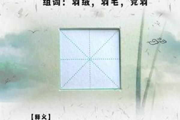 羽的八字