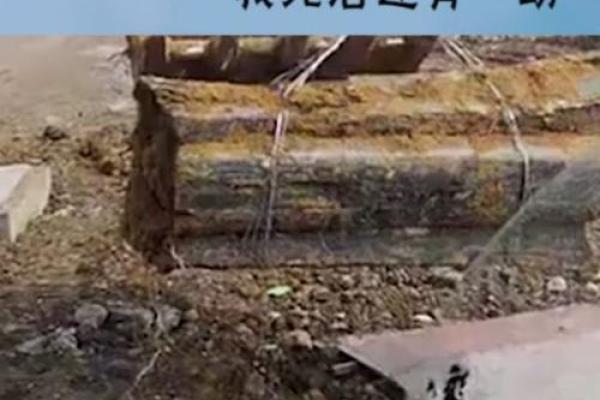 青州中所算命