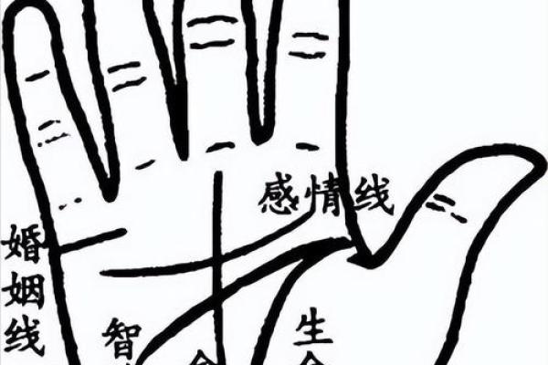 图解：手相中的事业线算命意义是