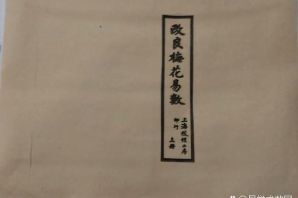 梅花易数算命入门书籍