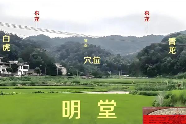 发财最猛的祖坟风水