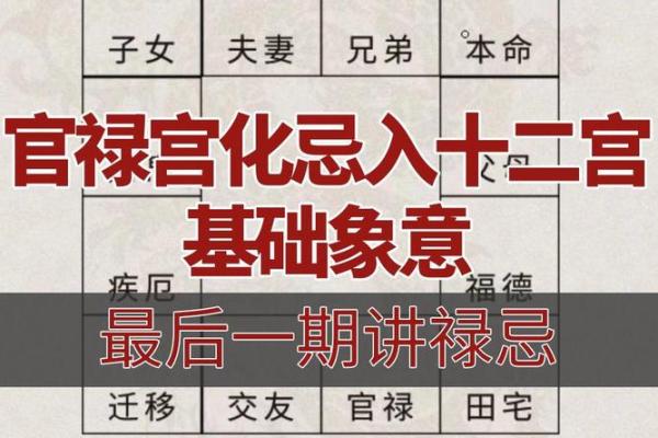紫薇斗数中官禄