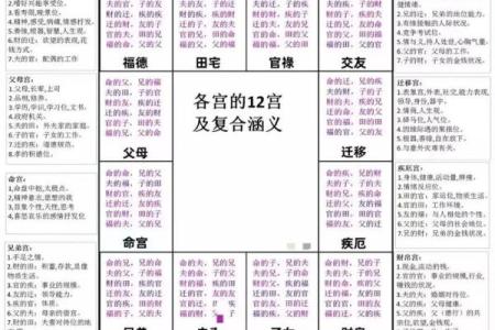 紫薇斗数权是什么意思