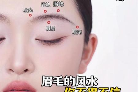 眉毛算命