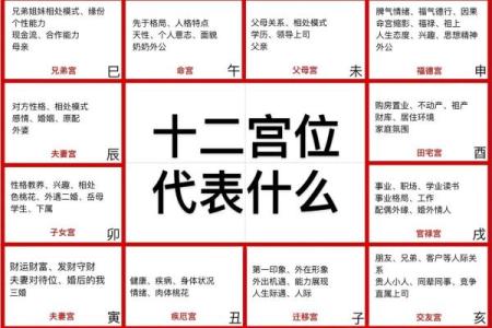 紫薇斗数看自身成就