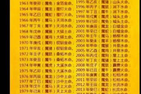 八字属于什么命