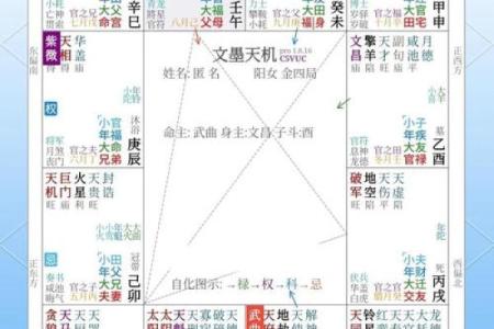 紫微斗数免费算命详解,紫微斗数免费算命神巴巴网