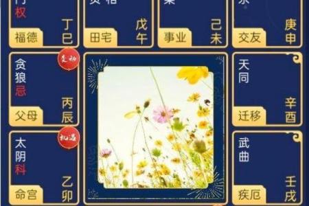 紫薇斗数里的四煞