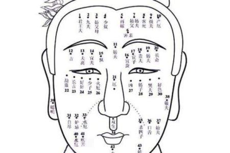 看相算命的准吗