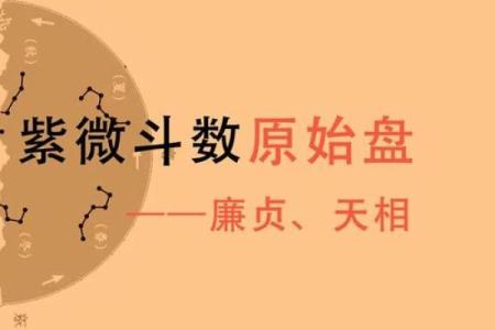 《紫微斗数》：廉贞.天相在财帛宫
