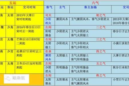 丙申年紫微斗数 丙申年运？