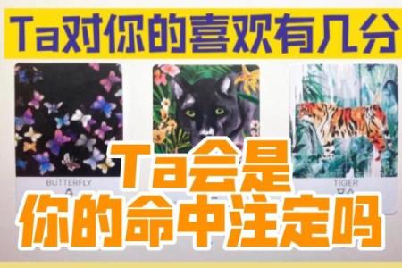 塔罗测试TA值得你这么在乎吗？