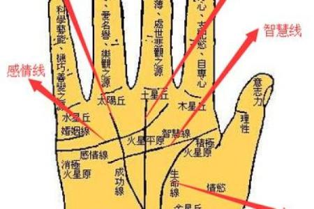 手相算命图解事业线
