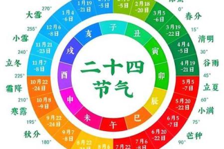 八字十二地支详解