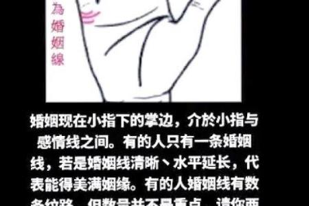 女生手相看命运，解析八字大全