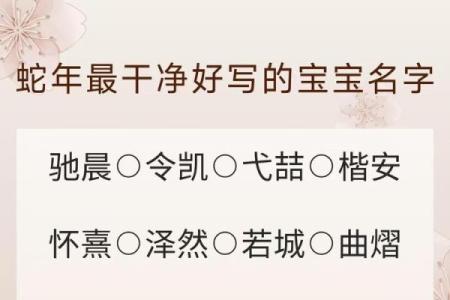 查名字官网,姓名测试打分重名查询