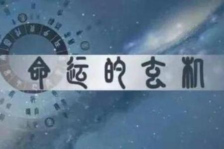 网易八字
