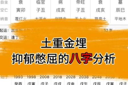 八字个五个金