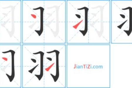 羽的八字