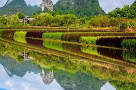 房子倒影风水