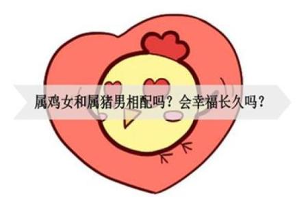 合八字属鸡和属猪的适合做夫妻吗