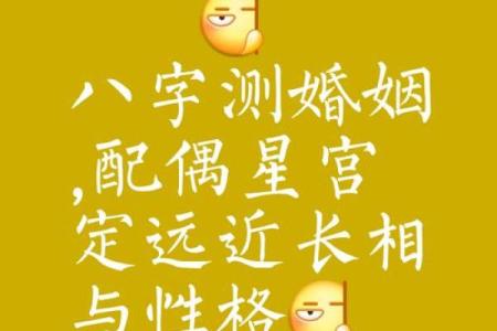 命理解说：八字看另一半长相