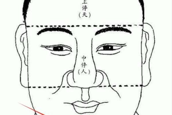 如何从下巴看相算命