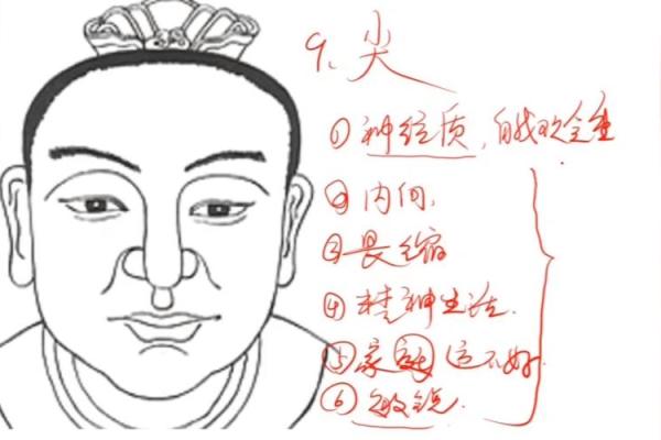 如何从下巴看相算命