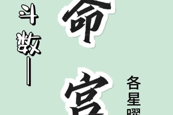 紫薇斗数命宫天梁