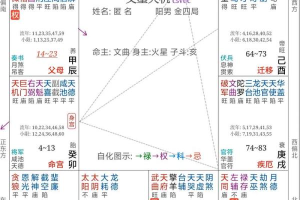 紫薇斗数免费算命