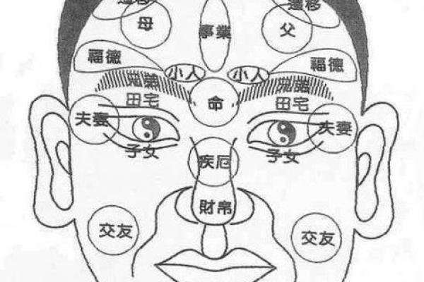 看头发面相知道运势 面相头发算命