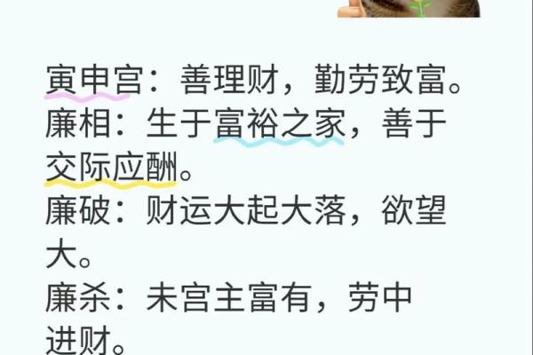 廉贞星坐守官禄宫紫微斗数大成